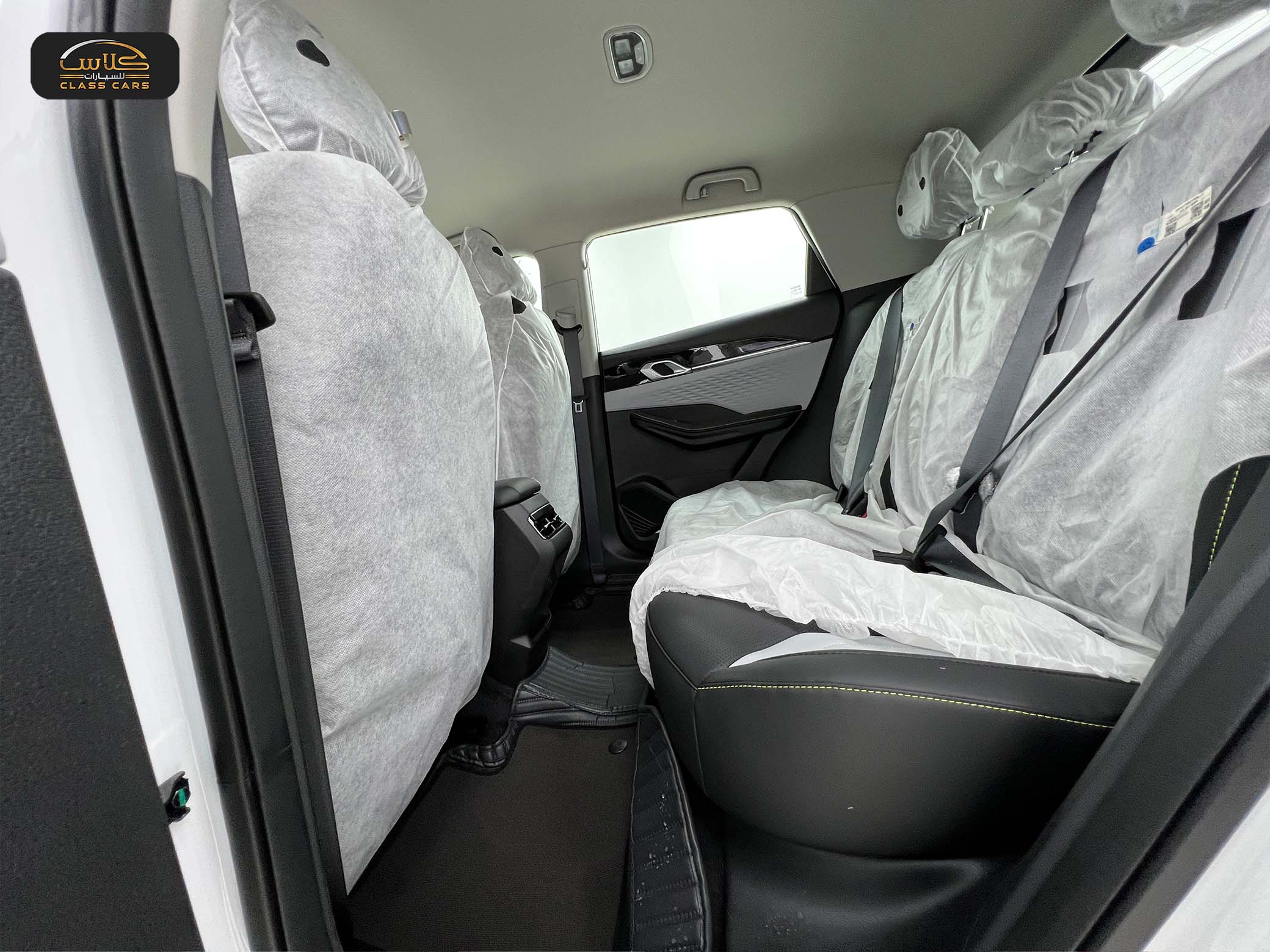 كولراي ستاندر 2024