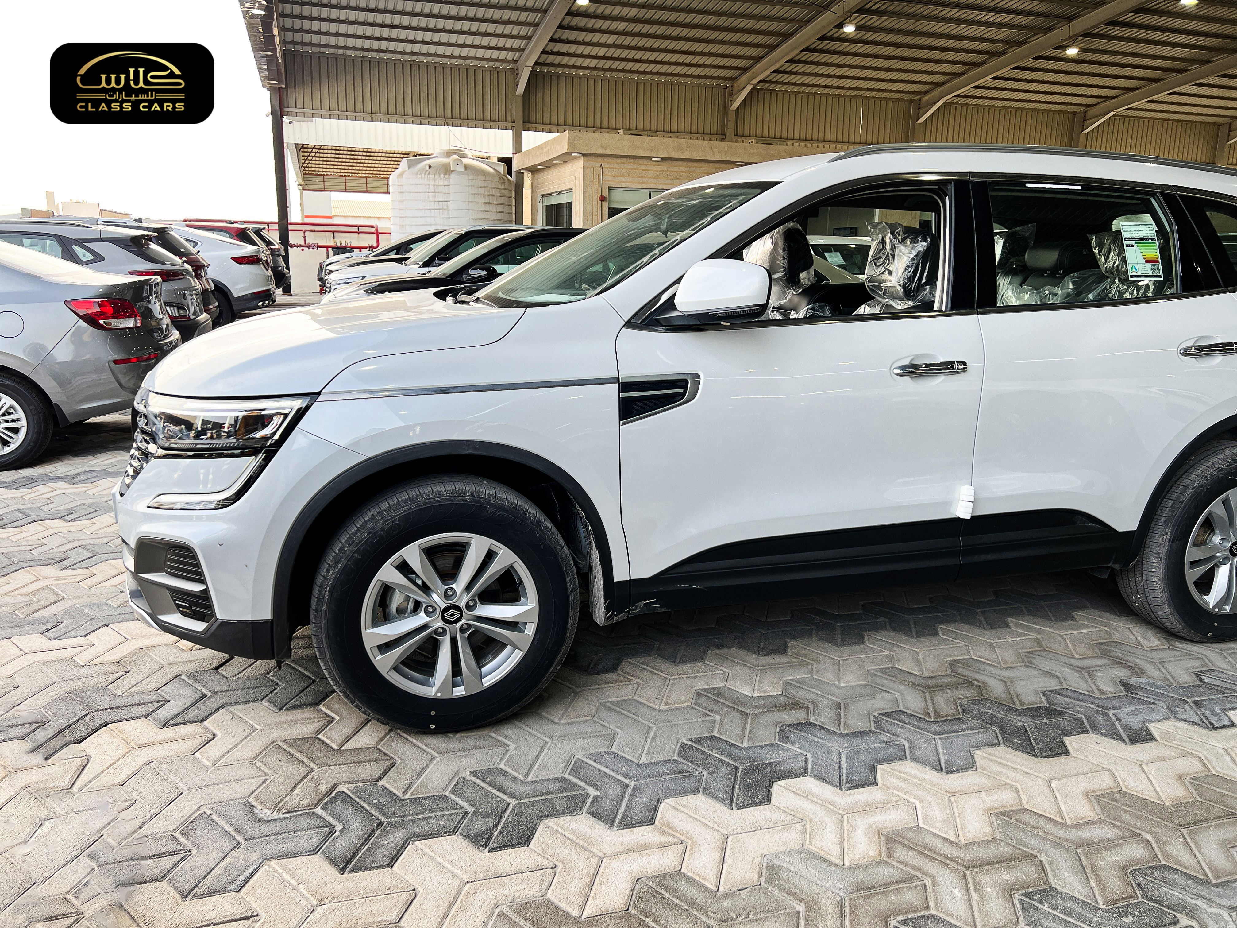 كوليوس ستاندر PE موديل 2025