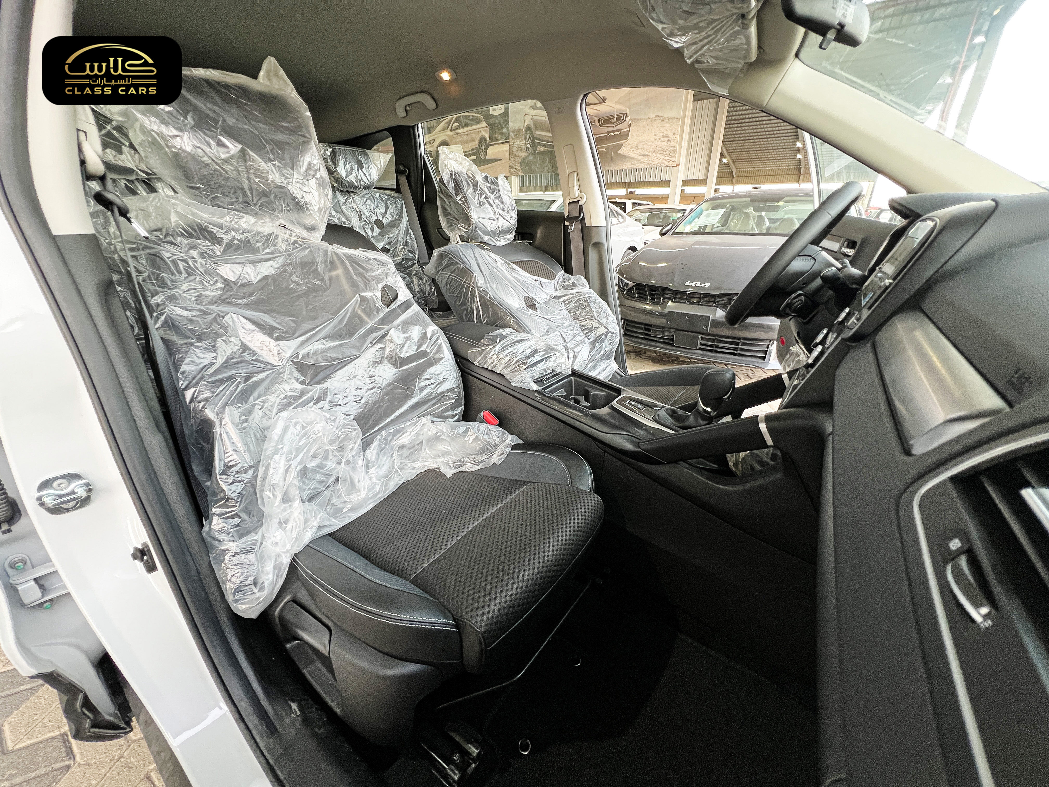 كوليوس ستاندر PE موديل 2025