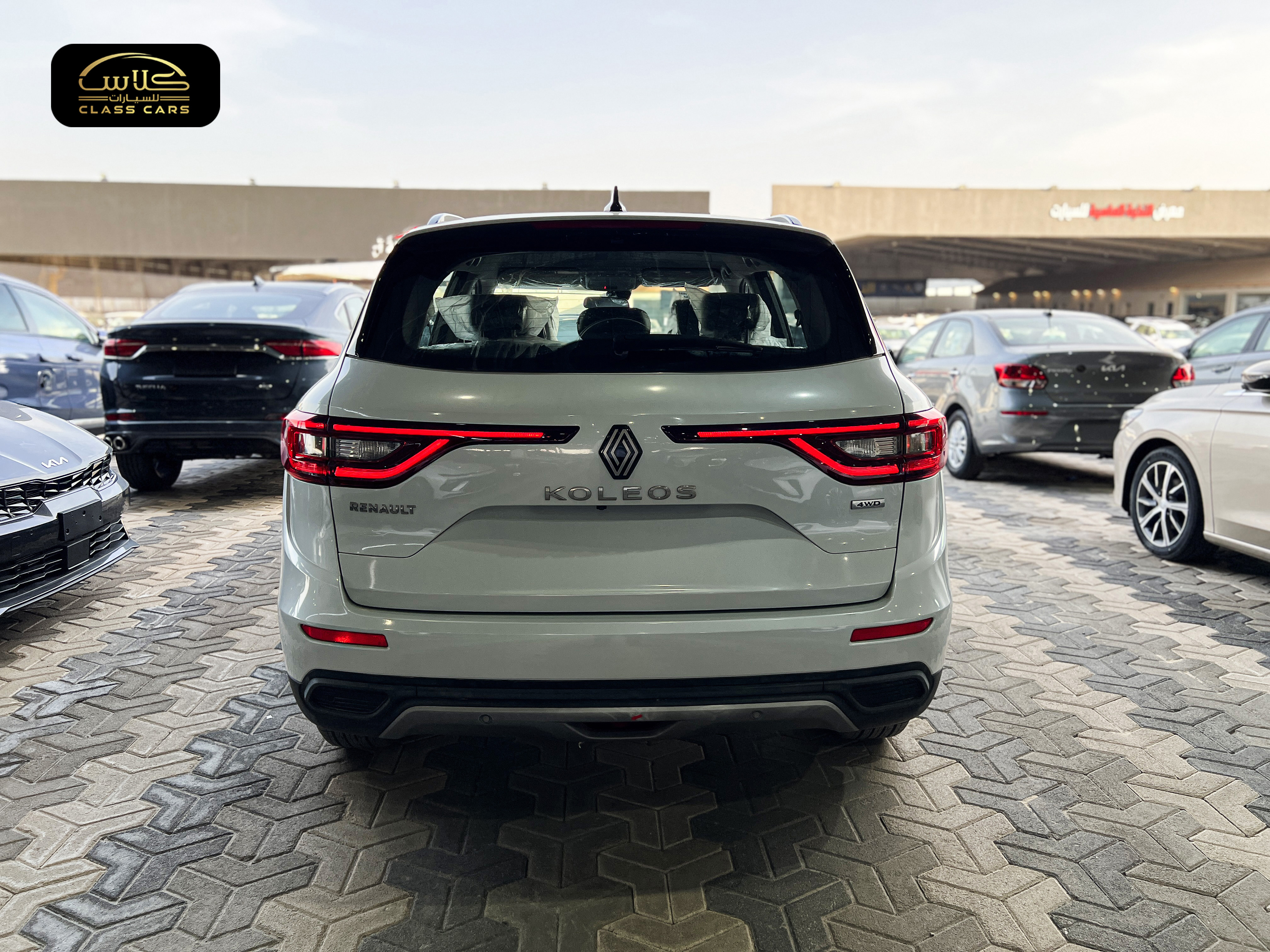 كوليوس ستاندر PE موديل 2025